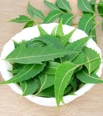 Neem leaves