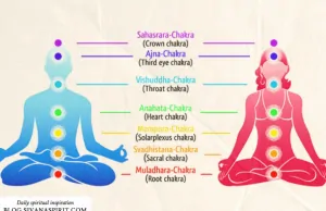 ARTIFICIAL BLISS VERSES DIVINE BLISS